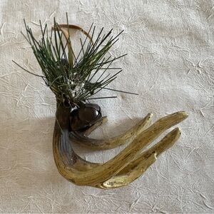 Rustic Antler Ornament with Pine and Bells